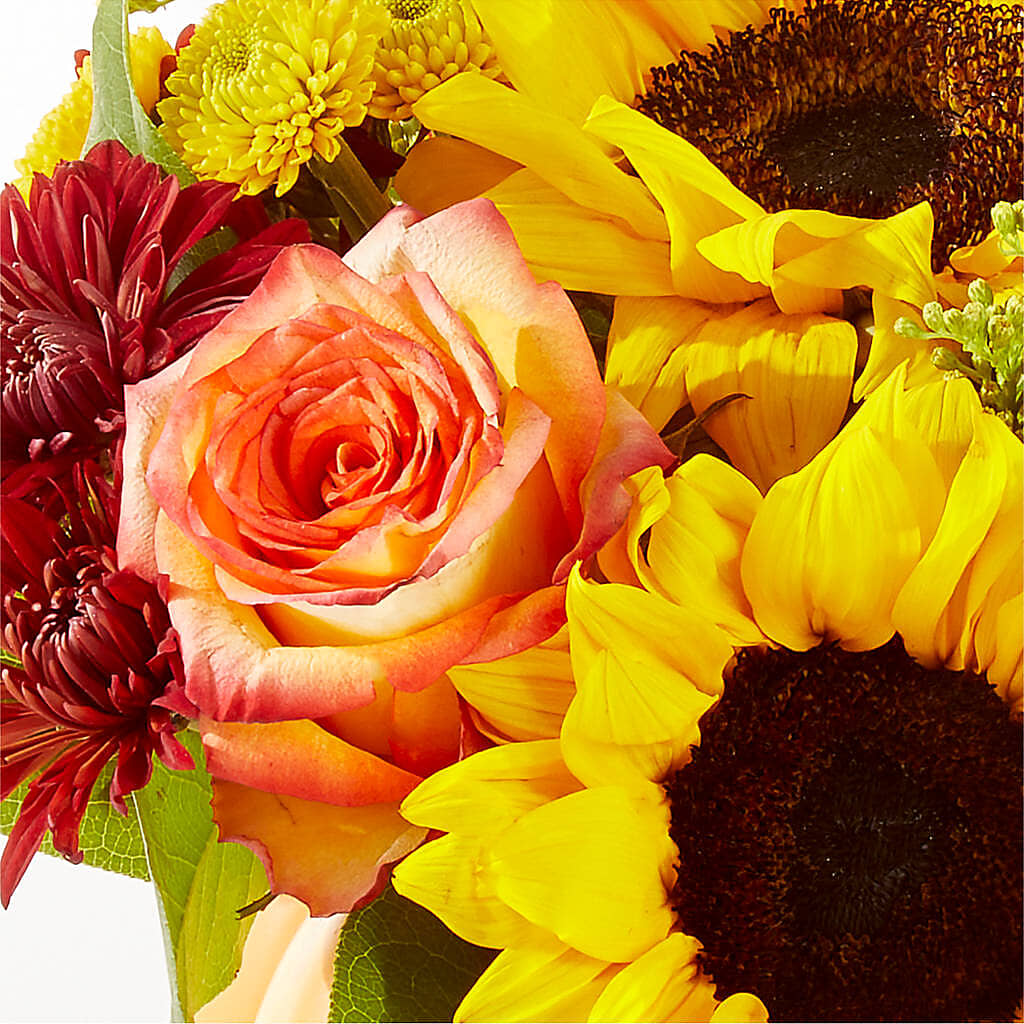 Golden Gourd Pumpkin Bouquet –  Homestead Flower Company Inc, Homestead FL