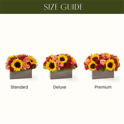 Fresh Cider Bouquet –  Homestead Flower Company Inc, Homestead FL
