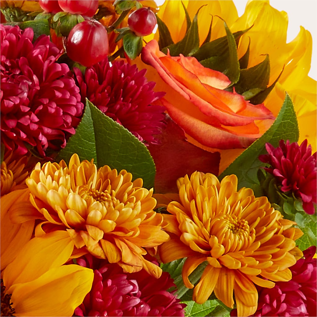 Sweater Season - A Florist Original –  Homestead Flower Company Inc, Homestead FL
