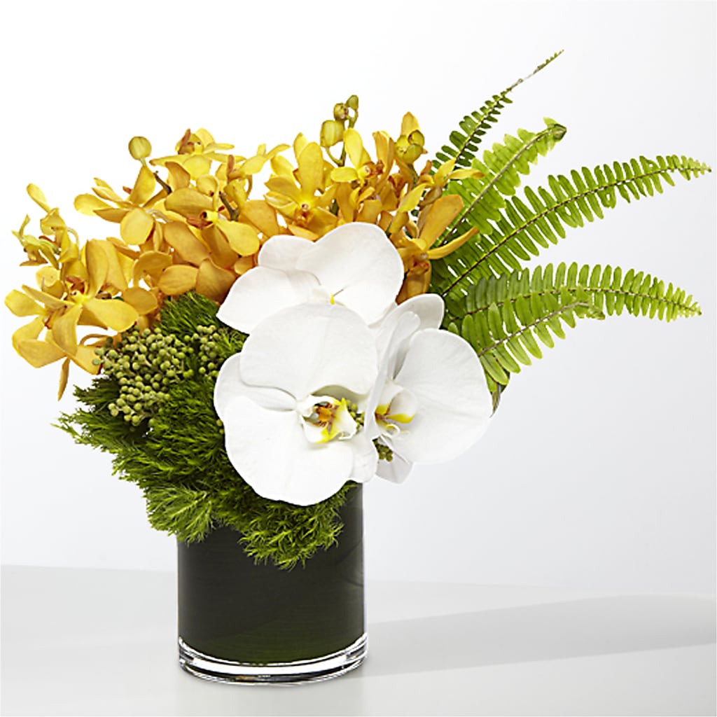 The Tropics –  Homestead Flower Company Inc, Homestead FL