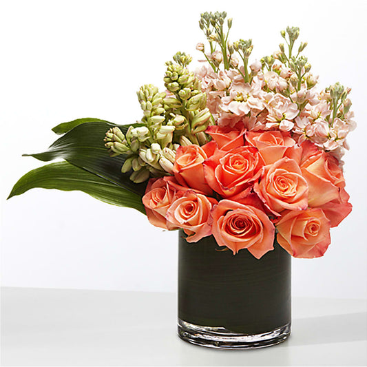 The Moment –  Homestead Flower Company Inc, Homestead FL