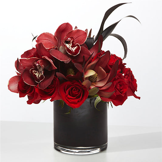 The Eclipse –  Homestead Flower Company Inc, Homestead FL