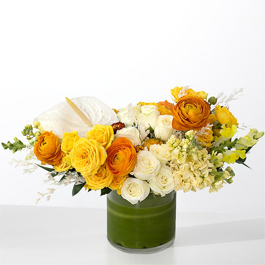 The Optimist –  Homestead Flower Company Inc, Homestead FL