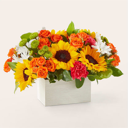 Sun-drenched Blooms Box Bouquet –  Homestead Flower Company Inc, Homestead FL