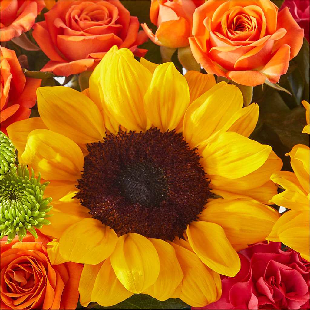 Sun-drenched Blooms Box Bouquet –  Homestead Flower Company Inc, Homestead FL