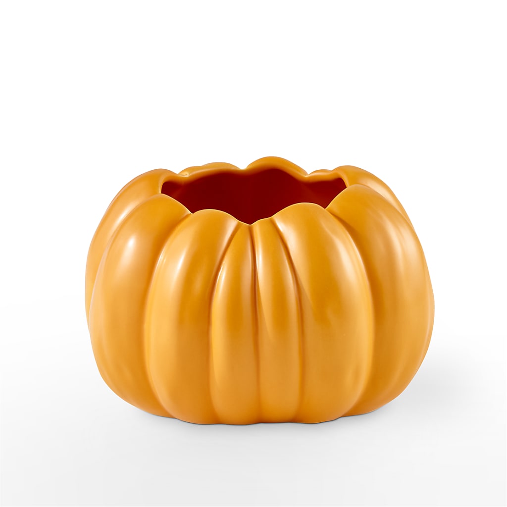 Pick of the Patch Pumpkin Bouquet –  Homestead Flower Company Inc, Homestead FL