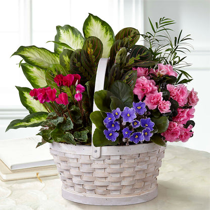 Peaceful Garden Planter –  Homestead Flower Company Inc, Homestead FL