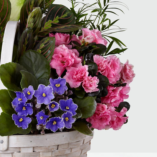 Peaceful Garden Planter –  Homestead Flower Company Inc, Homestead FL