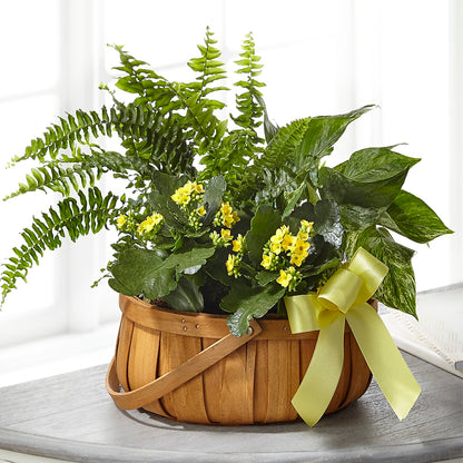 Always Dear Dishgarden –  Homestead Flower Company Inc, Homestead FL