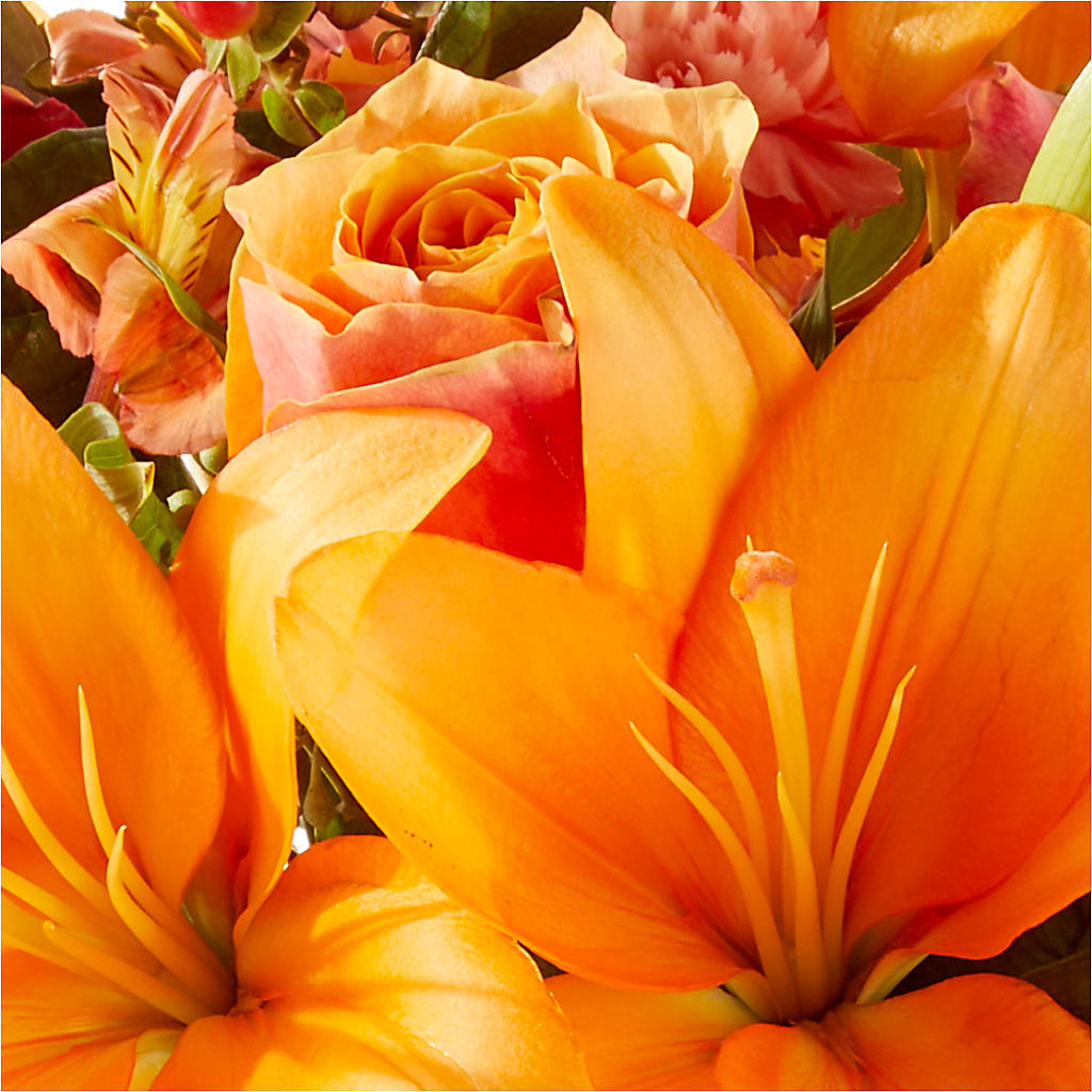 Afternoon Light Bouquet –  Homestead Flower Company Inc, Homestead FL