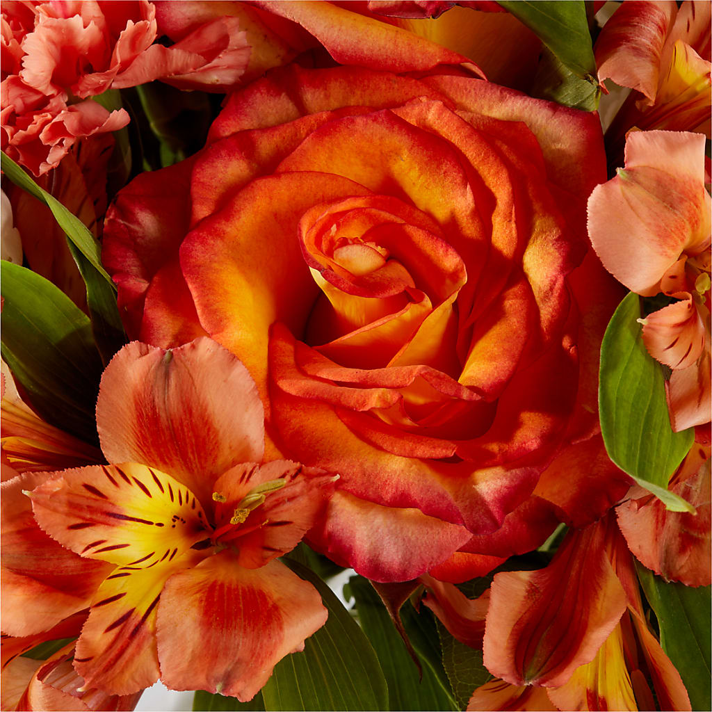 Apricot Glow Bouquet –  Homestead Flower Company Inc, Homestead FL