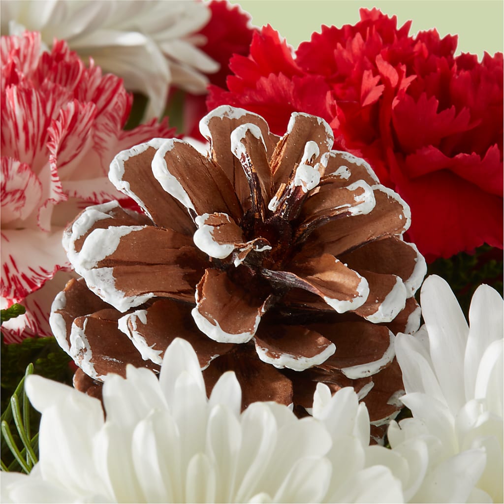 Candy Cane Lane Bouquet –  Homestead Flower Company Inc, Homestead FL
