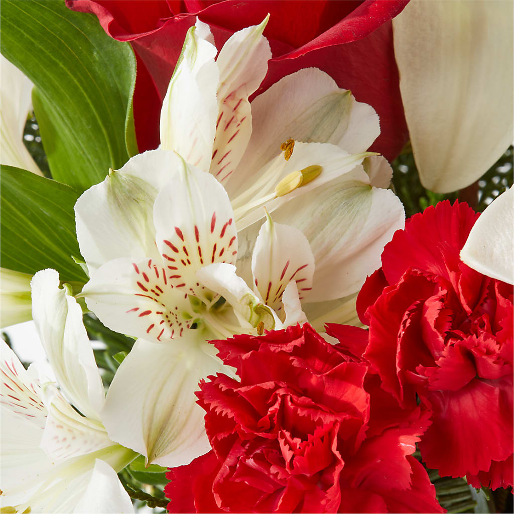 Holiday Season Bouquet –  Homestead Flower Company Inc, Homestead FL