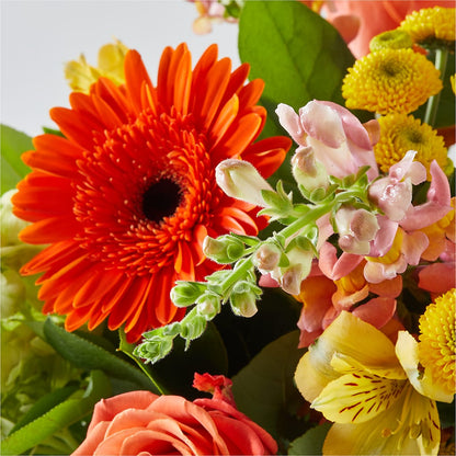 Autumn Sunshine Bouquet –  Homestead Flower Company Inc, Homestead FL