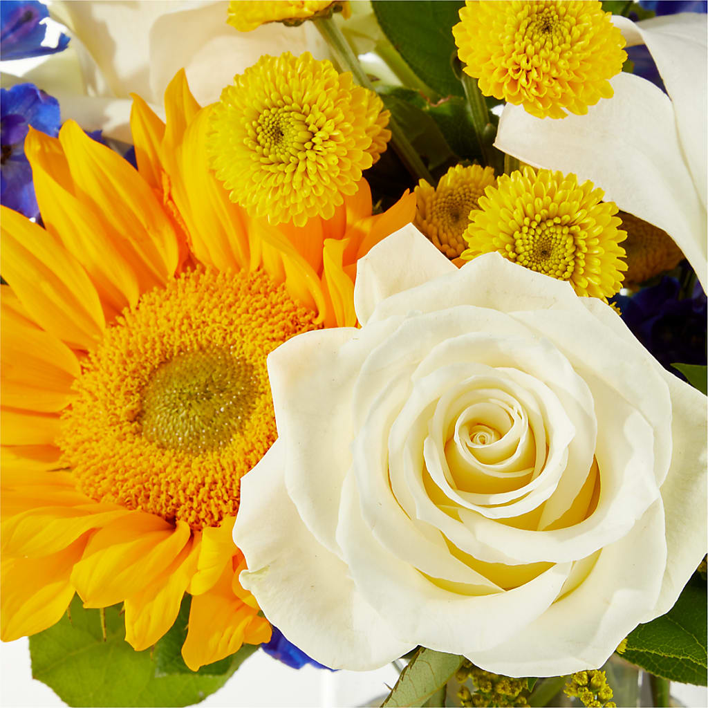 Stargazing Bouquet –  Homestead Flower Company Inc, Homestead FL