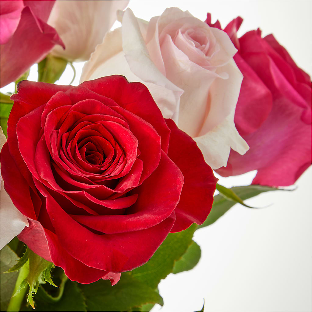 Charming Rose Bouquet –  Homestead Flower Company Inc, Homestead FL