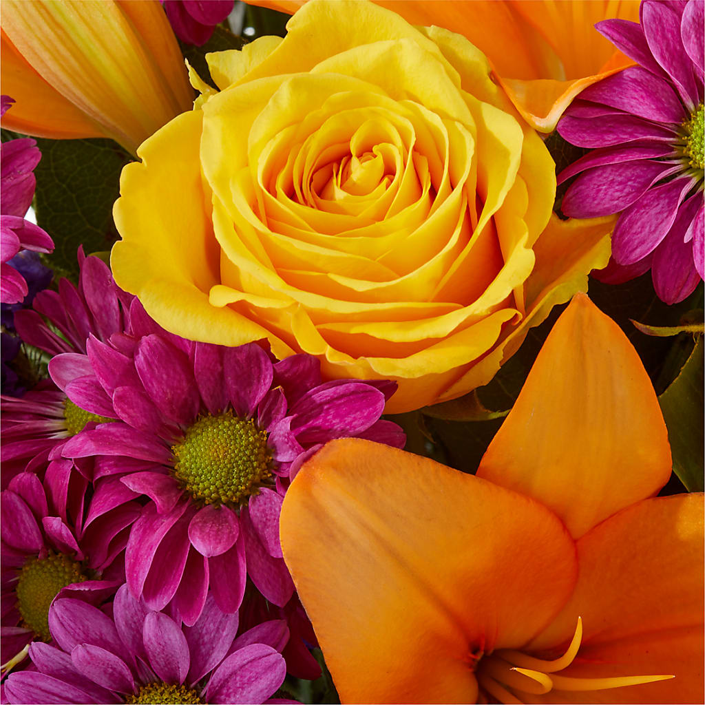 Colorful Visions Bouquet –  Homestead Flower Company Inc, Homestead FL