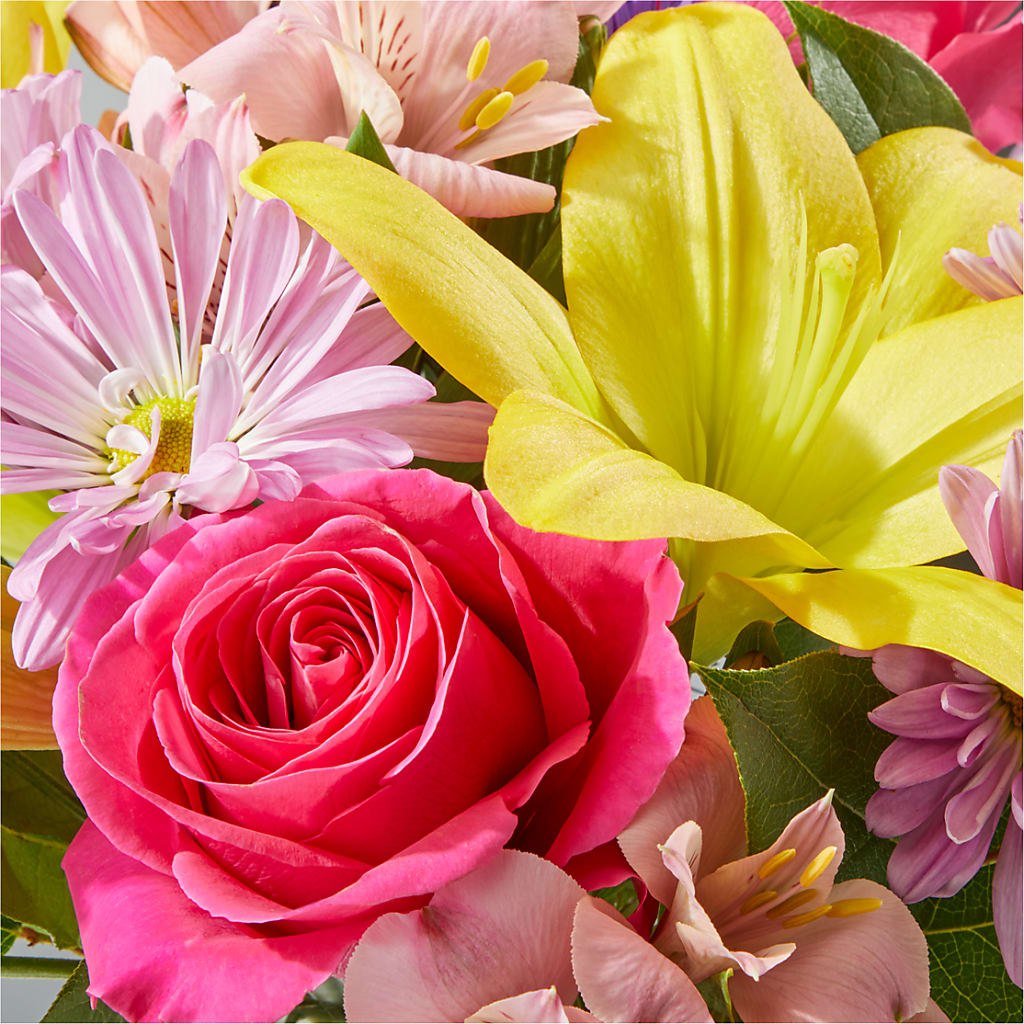 Sprinkles Bouquet –  Homestead Flower Company Inc, Homestead FL