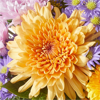 Countryside Bouquet –  Homestead Flower Company Inc, Homestead FL