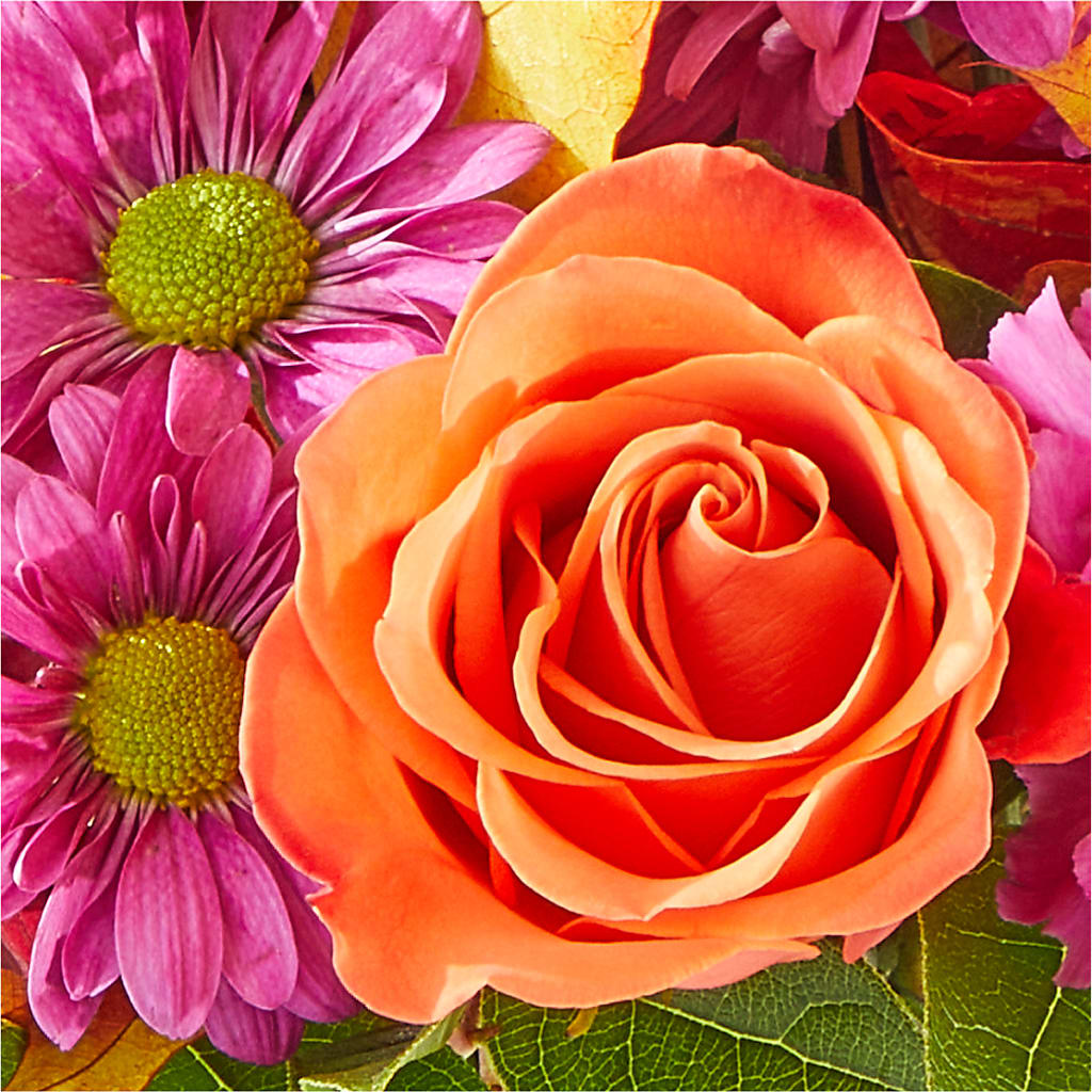 Mum's the Word Bouquet –  Homestead Flower Company Inc, Homestead FL