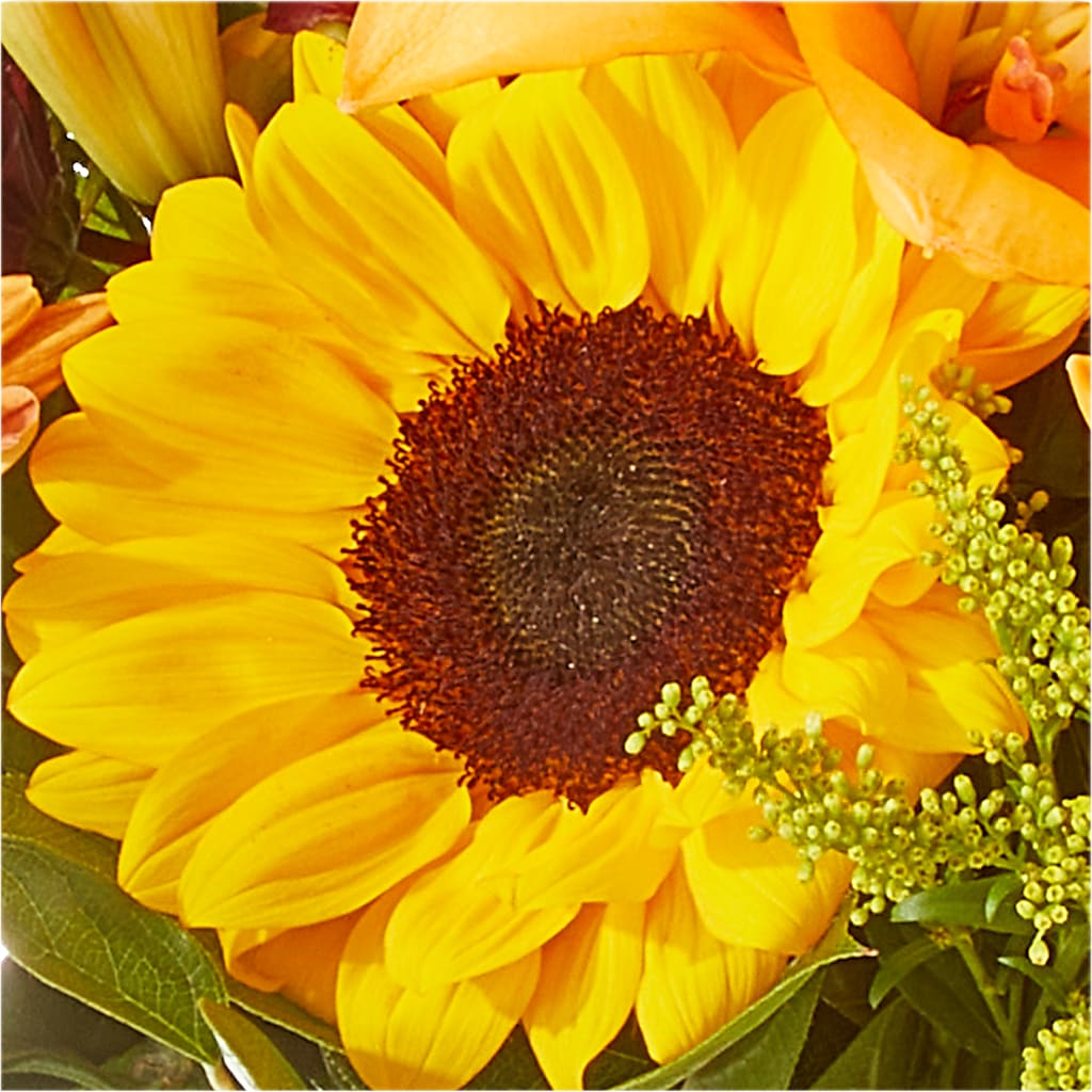 Seasons Change Bouquet –  Homestead Flower Company Inc, Homestead FL