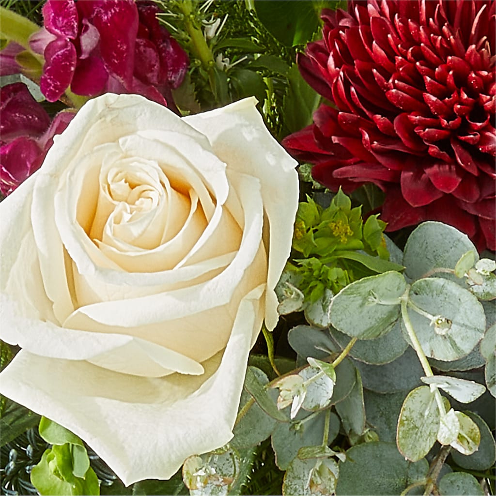 Cranberry Fizz Bouquet –  Homestead Flower Company Inc, Homestead FL