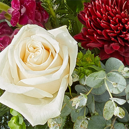 Cranberry Fizz Bouquet –  Homestead Flower Company Inc, Homestead FL