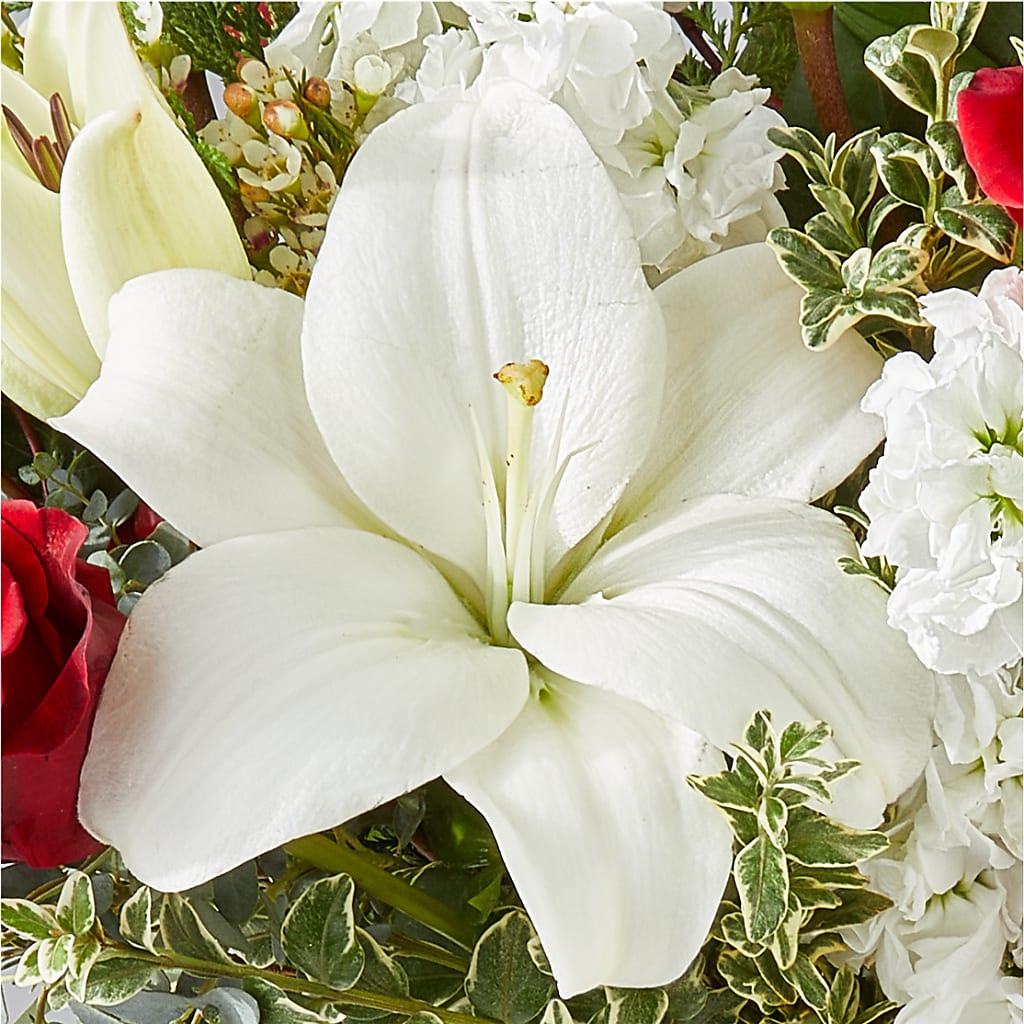 Twinkle Lights Bouquet –  Homestead Flower Company Inc, Homestead FL
