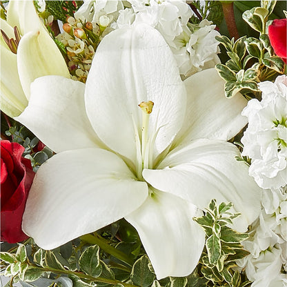 Twinkle Lights Bouquet –  Homestead Flower Company Inc, Homestead FL