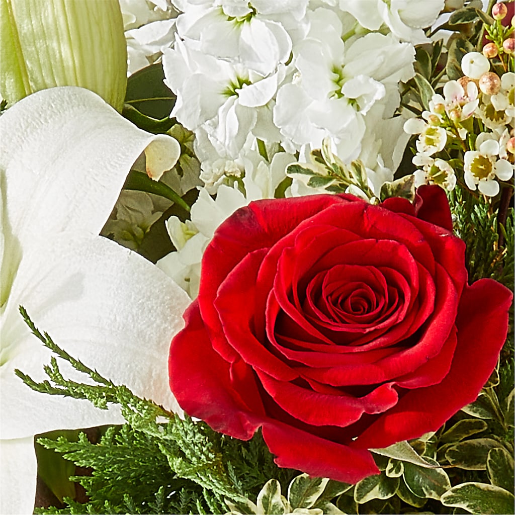 Twinkle Lights Bouquet –  Homestead Flower Company Inc, Homestead FL