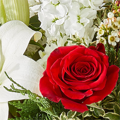 Twinkle Lights Bouquet –  Homestead Flower Company Inc, Homestead FL