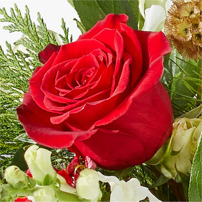 Deck the Halls Bouquet –  Homestead Flower Company Inc, Homestead FL
