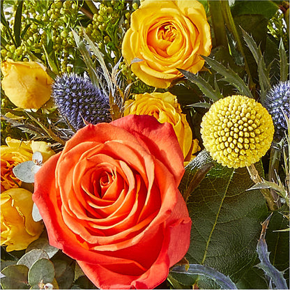 Disco Bouquet –  Homestead Flower Company Inc, Homestead FL