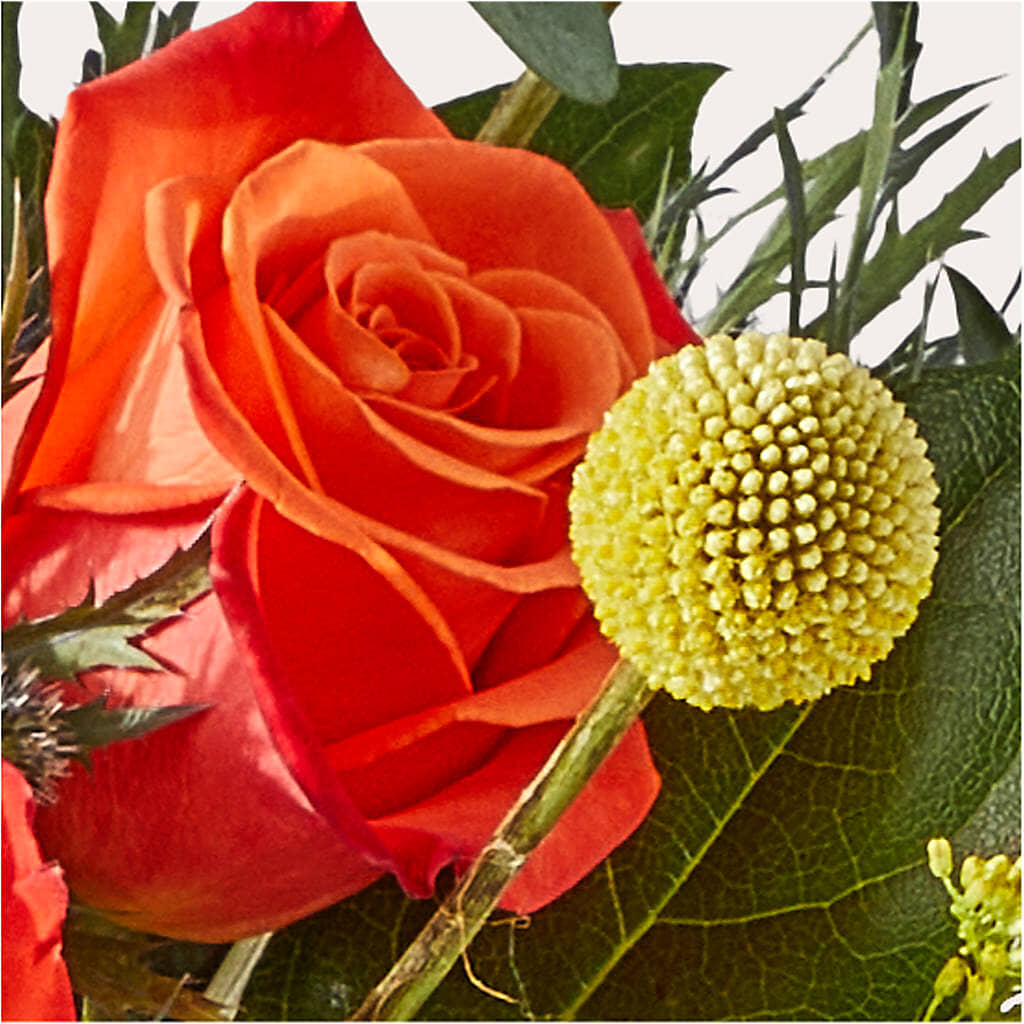 Disco Bouquet –  Homestead Flower Company Inc, Homestead FL