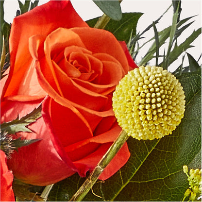 Disco Bouquet –  Homestead Flower Company Inc, Homestead FL