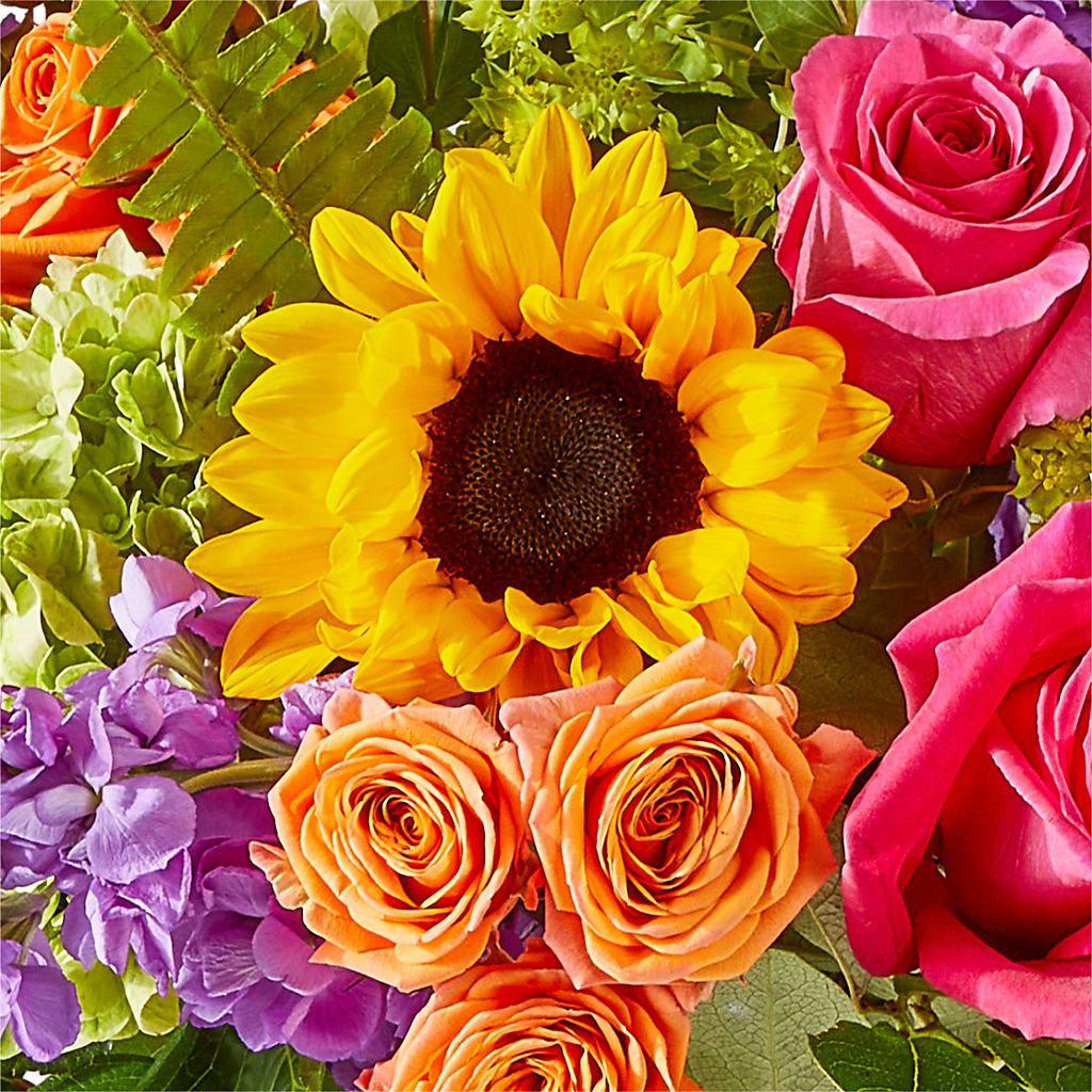 Vibrant Greetings Bouquet –  Homestead Flower Company Inc, Homestead FL