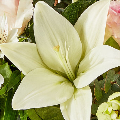 Ballet Slippers Bouquet –  Homestead Flower Company Inc, Homestead FL