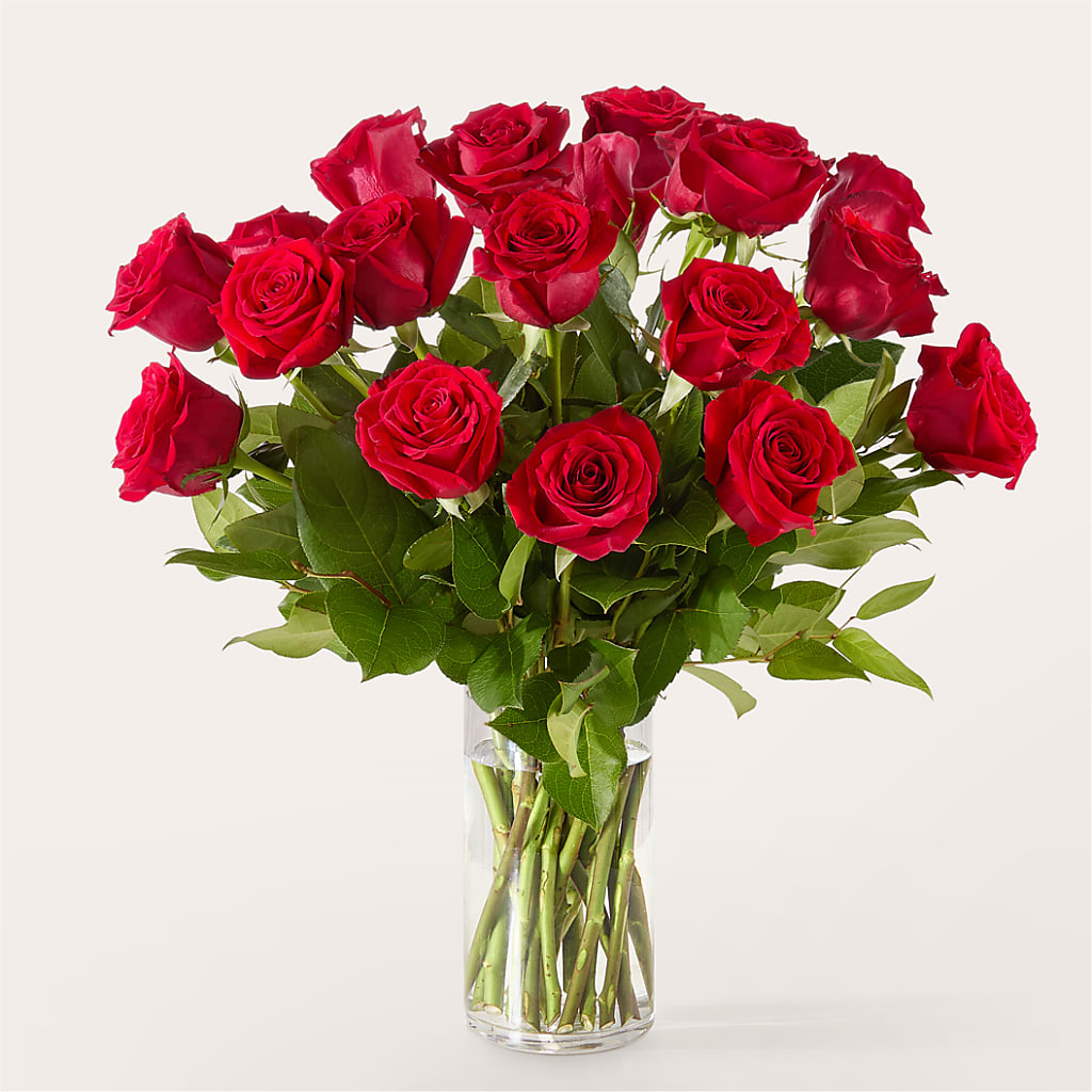 The One Red Rose Bouquet –  Homestead Flower Company Inc, Homestead FL