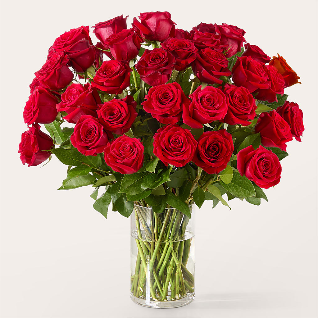 The One Red Rose Bouquet –  Homestead Flower Company Inc, Homestead FL