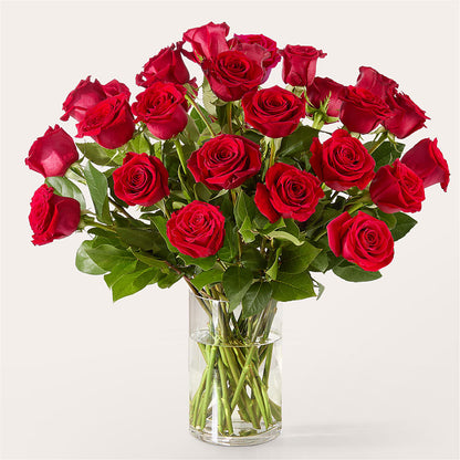 The One Red Rose Bouquet –  Homestead Flower Company Inc, Homestead FL