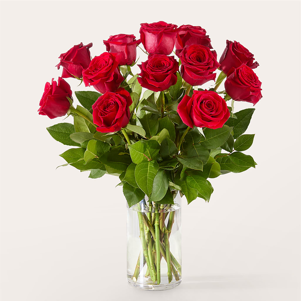 The One Red Rose Bouquet –  Homestead Flower Company Inc, Homestead FL