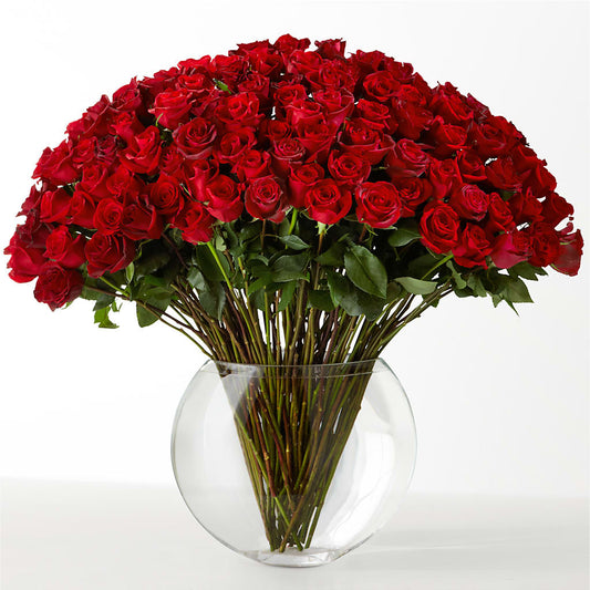 The Idealist –  Homestead Flower Company Inc, Homestead FL