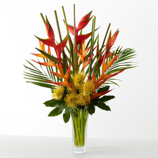 The Drama –  Homestead Flower Company Inc, Homestead FL