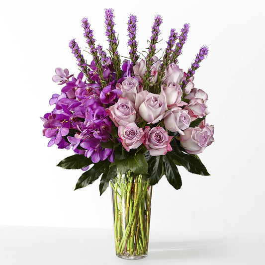 The Maximalist –  Homestead Flower Company Inc, Homestead FL