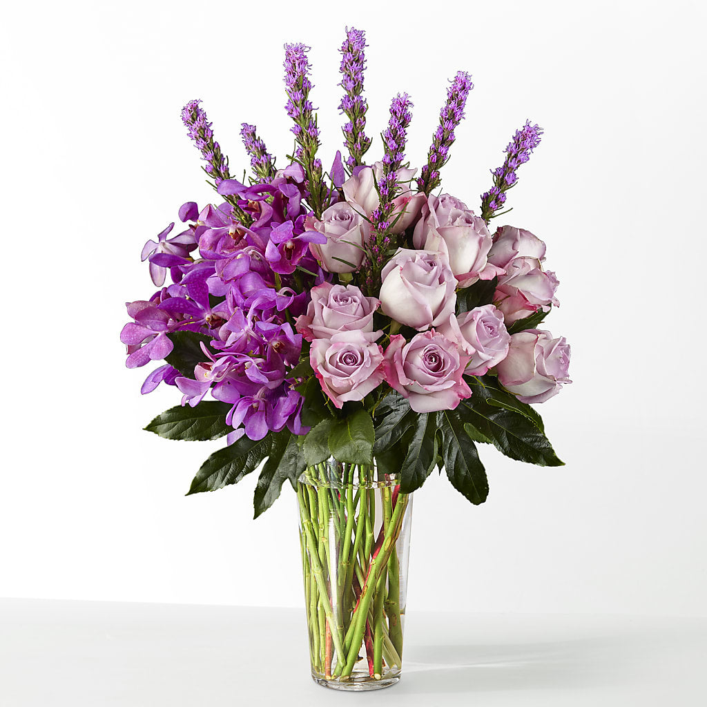 The Maximalist –  Homestead Flower Company Inc, Homestead FL