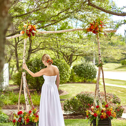 Arbor of Love Archway –  Homestead Flower Company Inc, Homestead FL