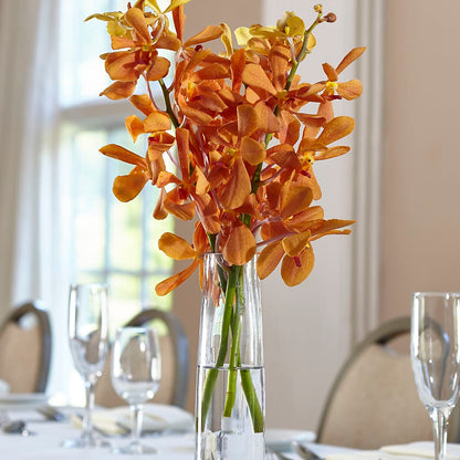 Orange Mokara Bud Vase –  Homestead Flower Company Inc, Homestead FL