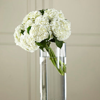 White Hydrangea Hand-Tied Bouquet –  Homestead Flower Company Inc, Homestead FL