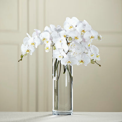 White Phalaenopsis Bouquet –  Homestead Flower Company Inc, Homestead FL