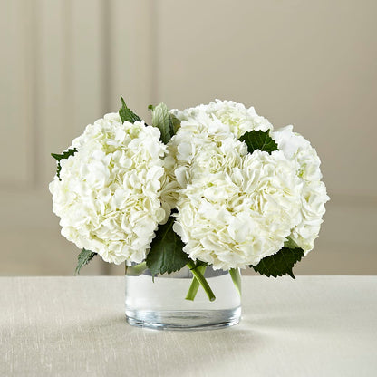 White Hydrangea Bouquet –  Homestead Flower Company Inc, Homestead FL